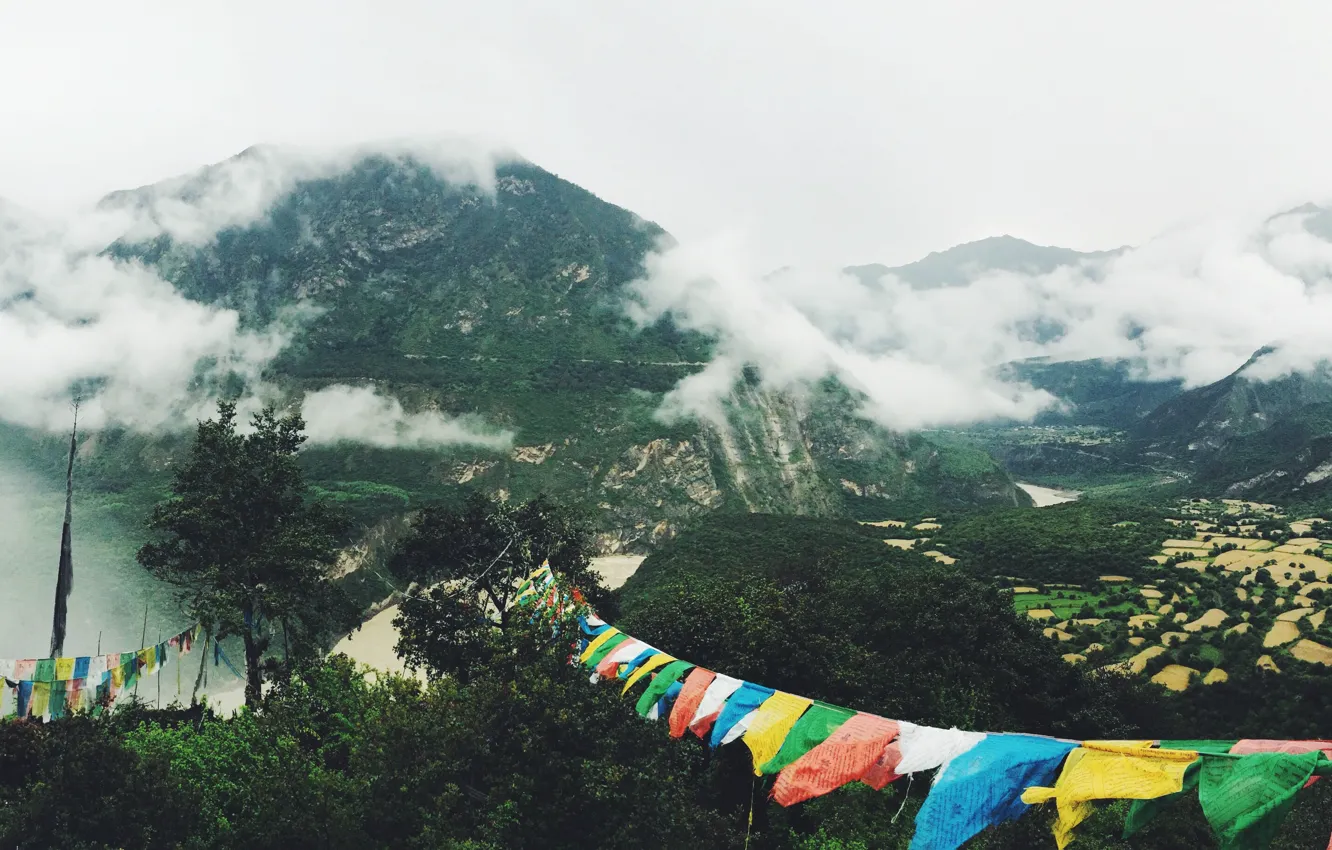 Photo wallpaper green, trees, nature, cloud, colours, mountain, fog, Asia