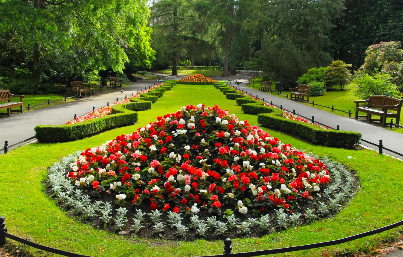 Photo wallpaper flower, trees, park, beautiful