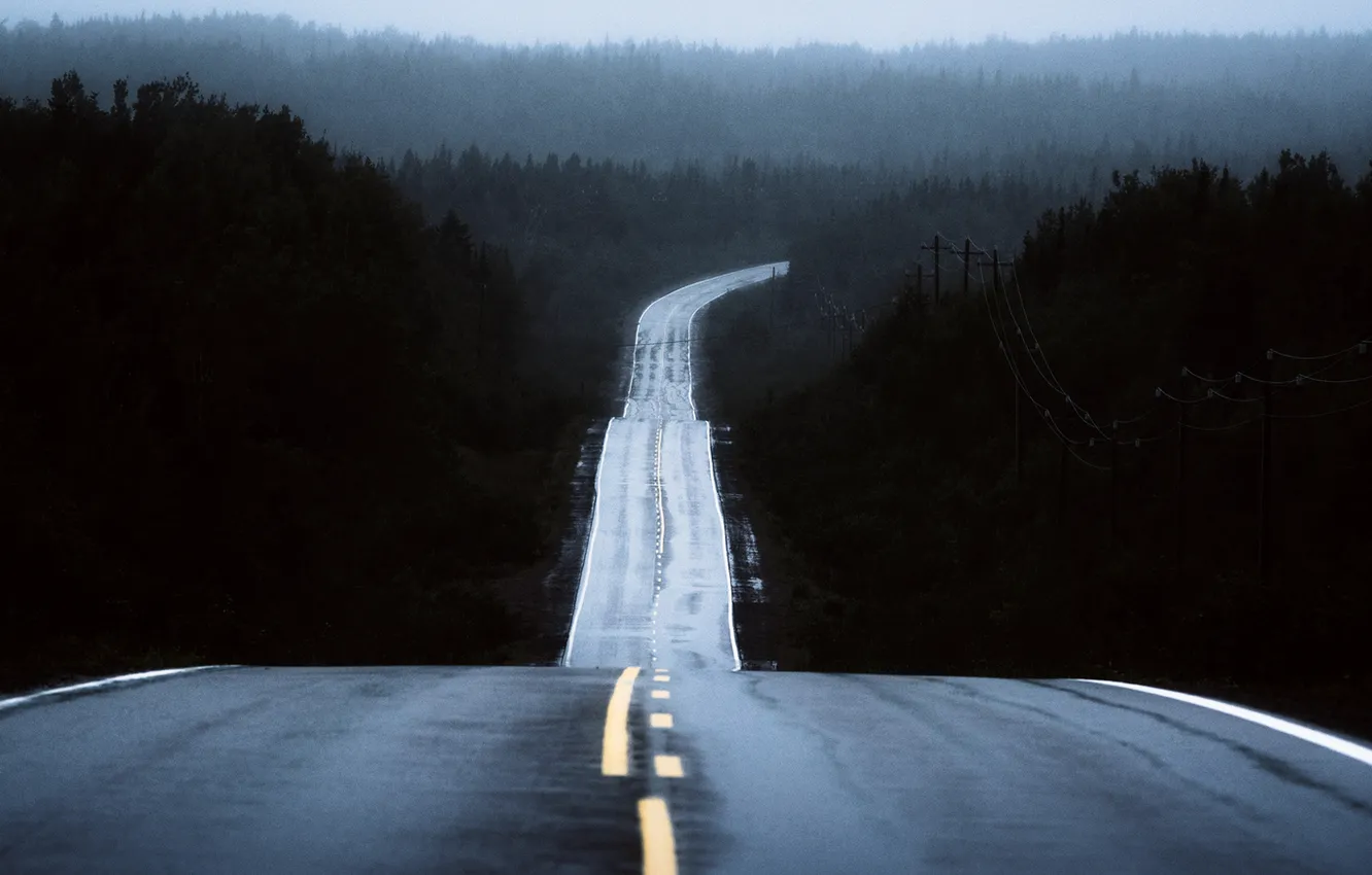 Photo wallpaper road, fog, rainy