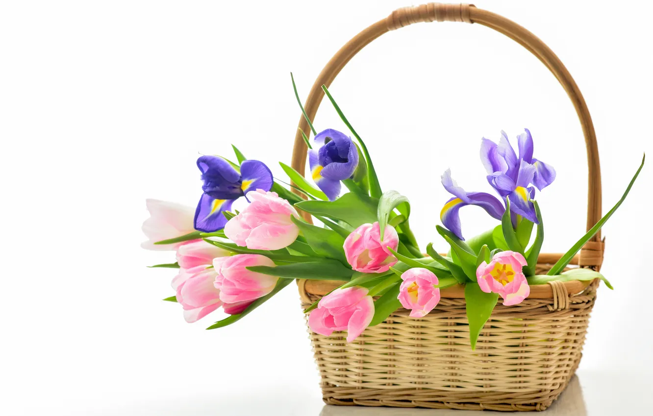 Photo wallpaper basket, tulips, flowers, tulips, bouquet, basket