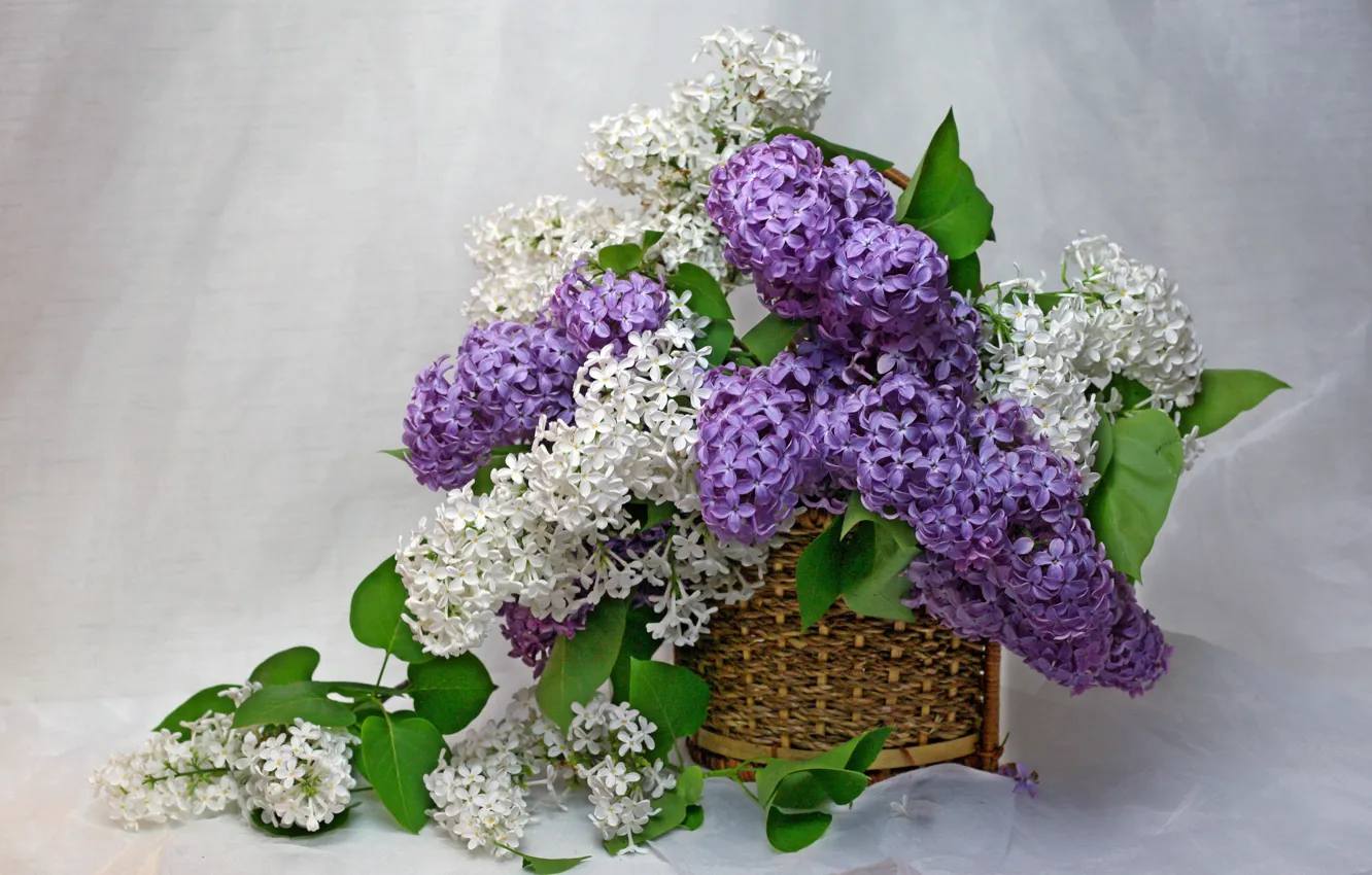 Photo wallpaper flowers, house, beauty, spring, may, vase, still life, lilac