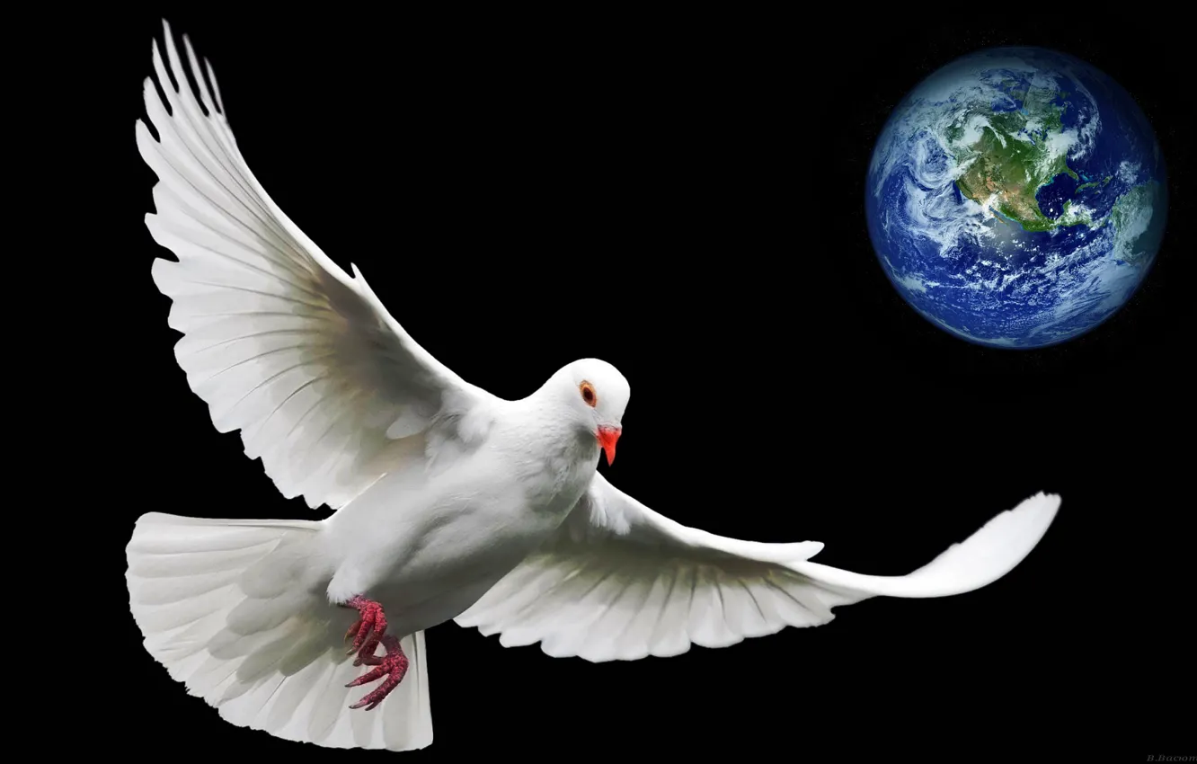Photo wallpaper earth, the world, planet, pigeons, symbol