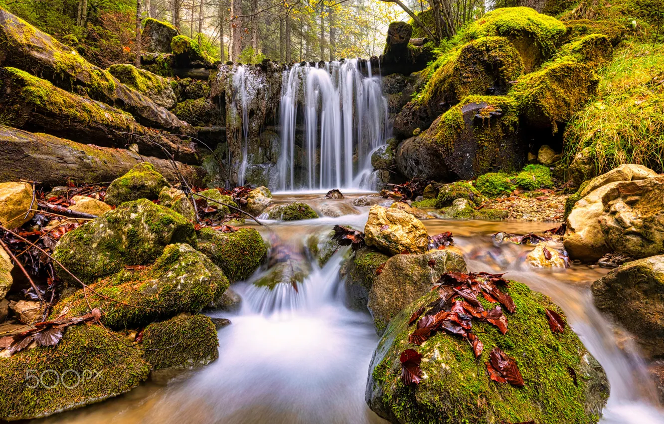Photo wallpaper forest, nature, river, waterfall