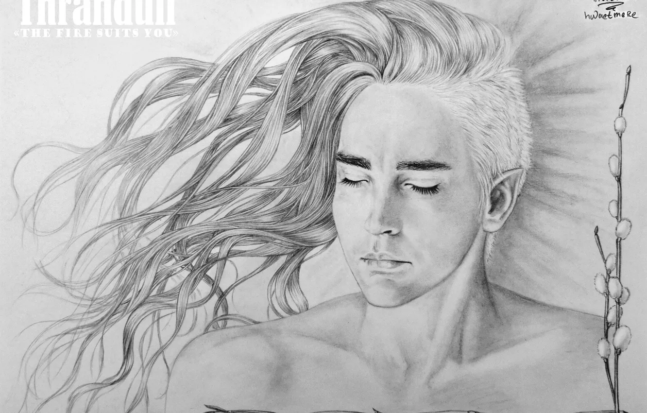 Photo wallpaper elf, art, The hobbit, Thranduil