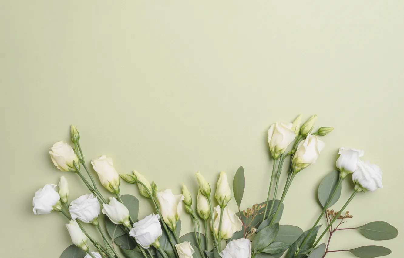 Photo wallpaper Flowers, Bouquet, Background, Eustoma