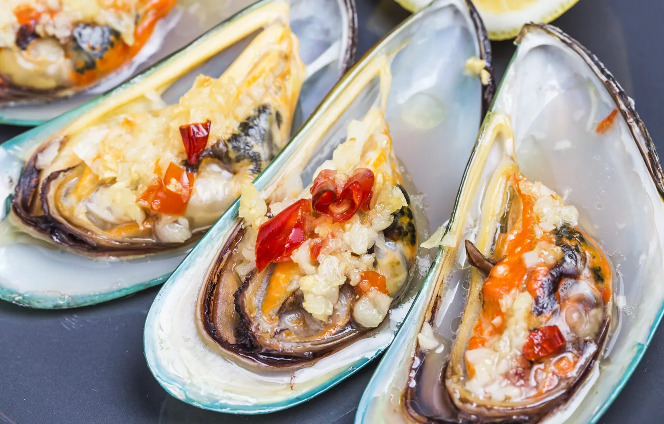 Photo wallpaper cheese, sauce, seafood, oysters, baked seafood