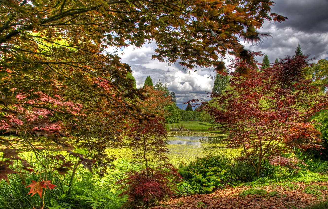 Photo wallpaper autumn, leaves, trees, pond, garden, Canada, the bushes, Vancouver