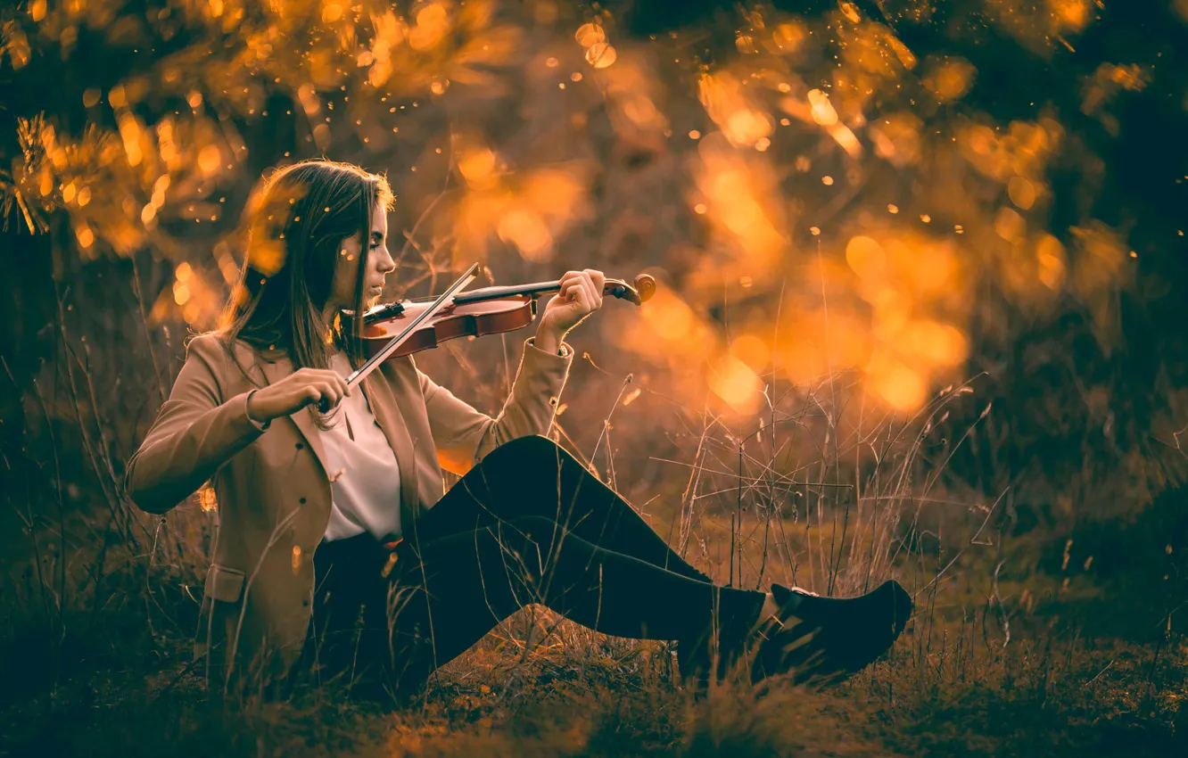 Photo wallpaper girl, violin, violin
