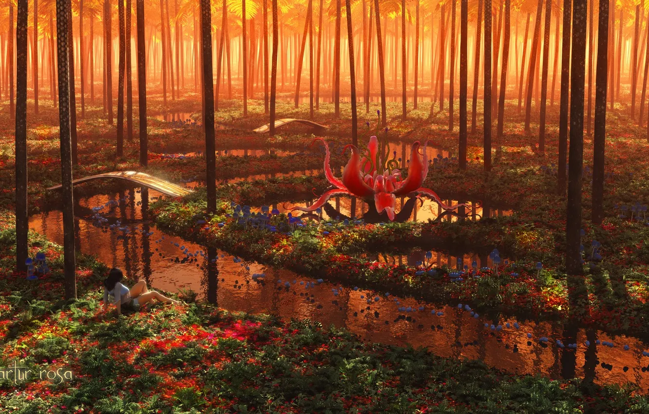 Photo wallpaper forest, grass, water, girl, trees, flowers, bridge, river