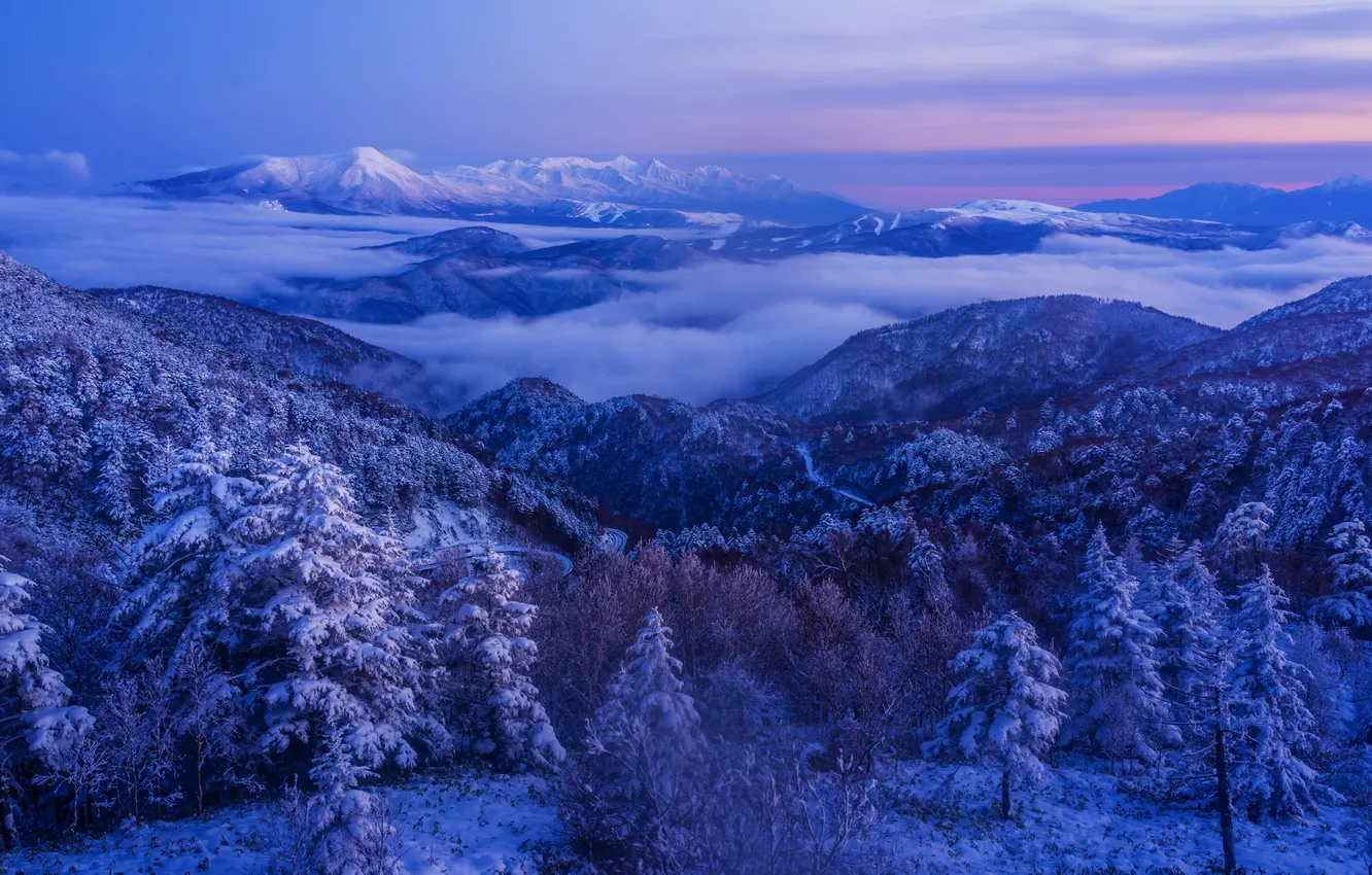 Photo wallpaper Japan, forest, sky, trees, landscape, nature, winter, mountains