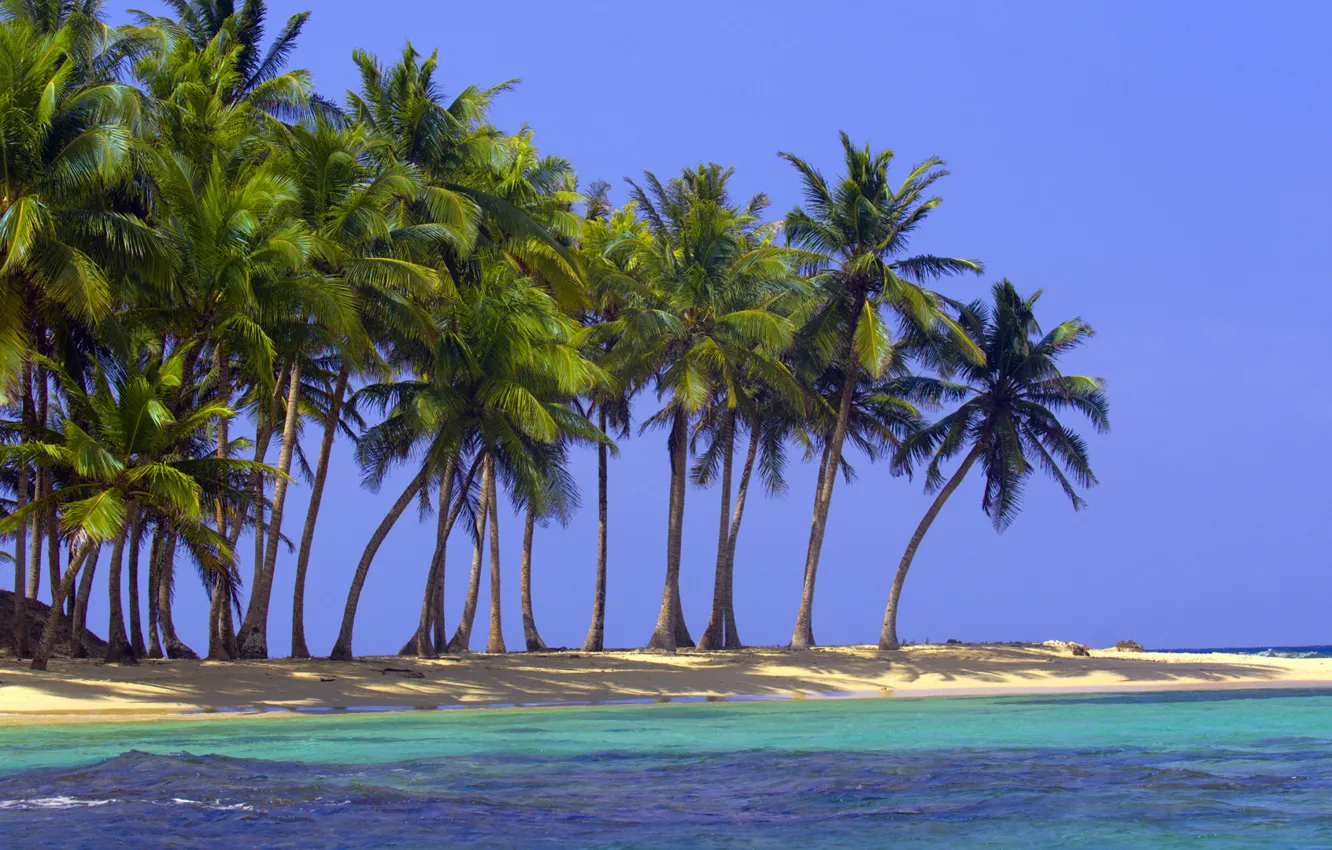 Photo wallpaper sand, sea, beach, nature, tropics, palm trees, the ocean