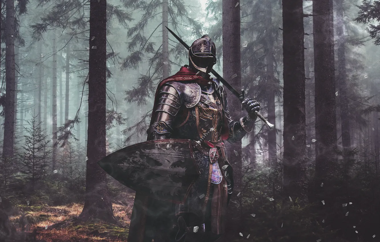 Photo wallpaper forest, fantasy, knight
