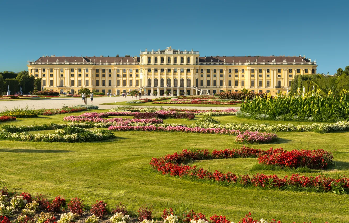Photo wallpaper flowers, Park, Austria, garden, Palace, Austria, Vienna, Vienna