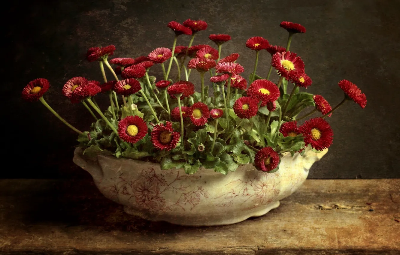 Photo wallpaper flowers, background, vase, Daisy
