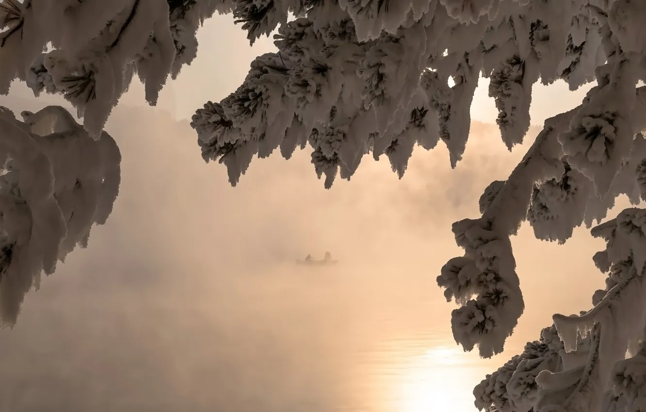 Photo wallpaper Fog, Snow, Zima, trees, lake, Boat