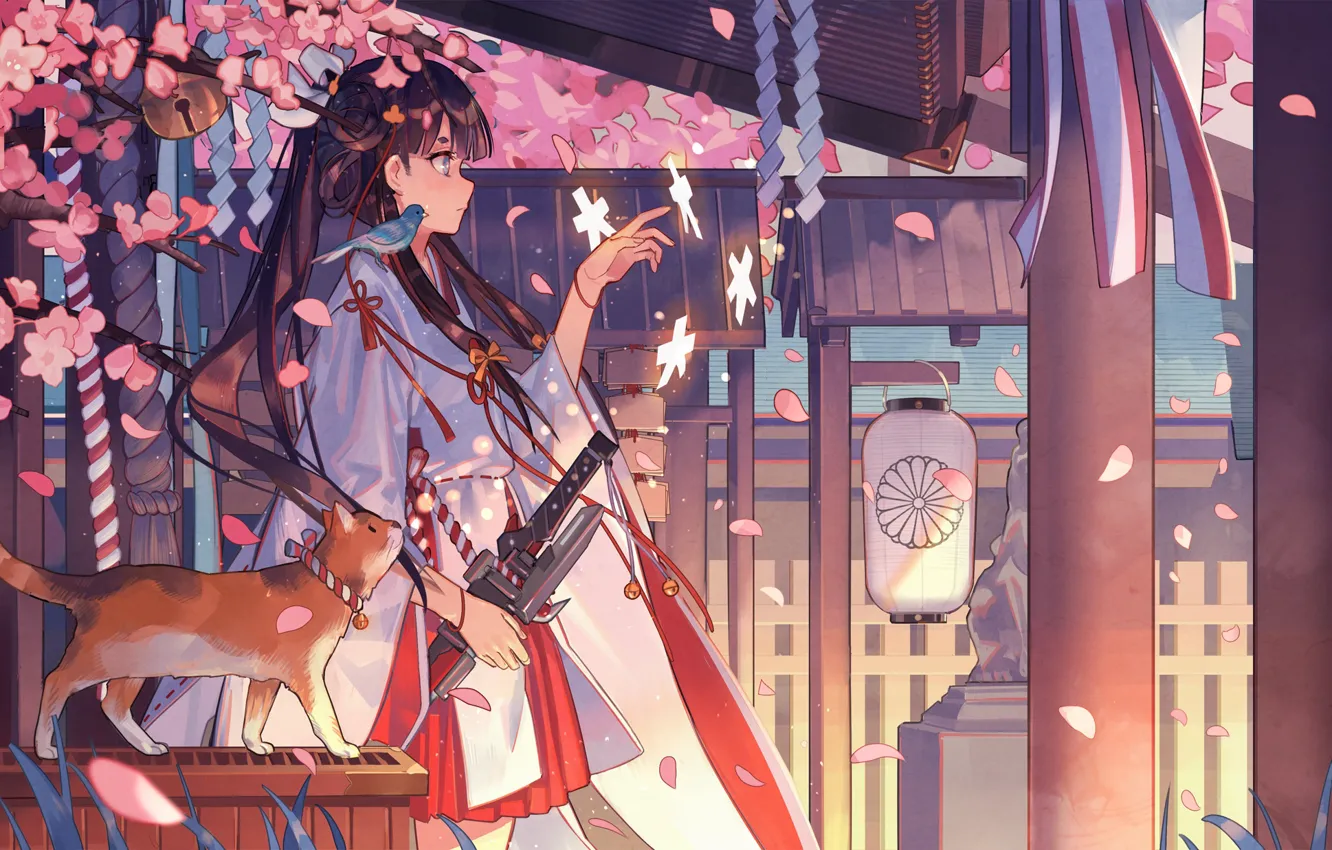 Photo wallpaper cat, magic, Sakura, lantern, temple, kimono, bird, priestess