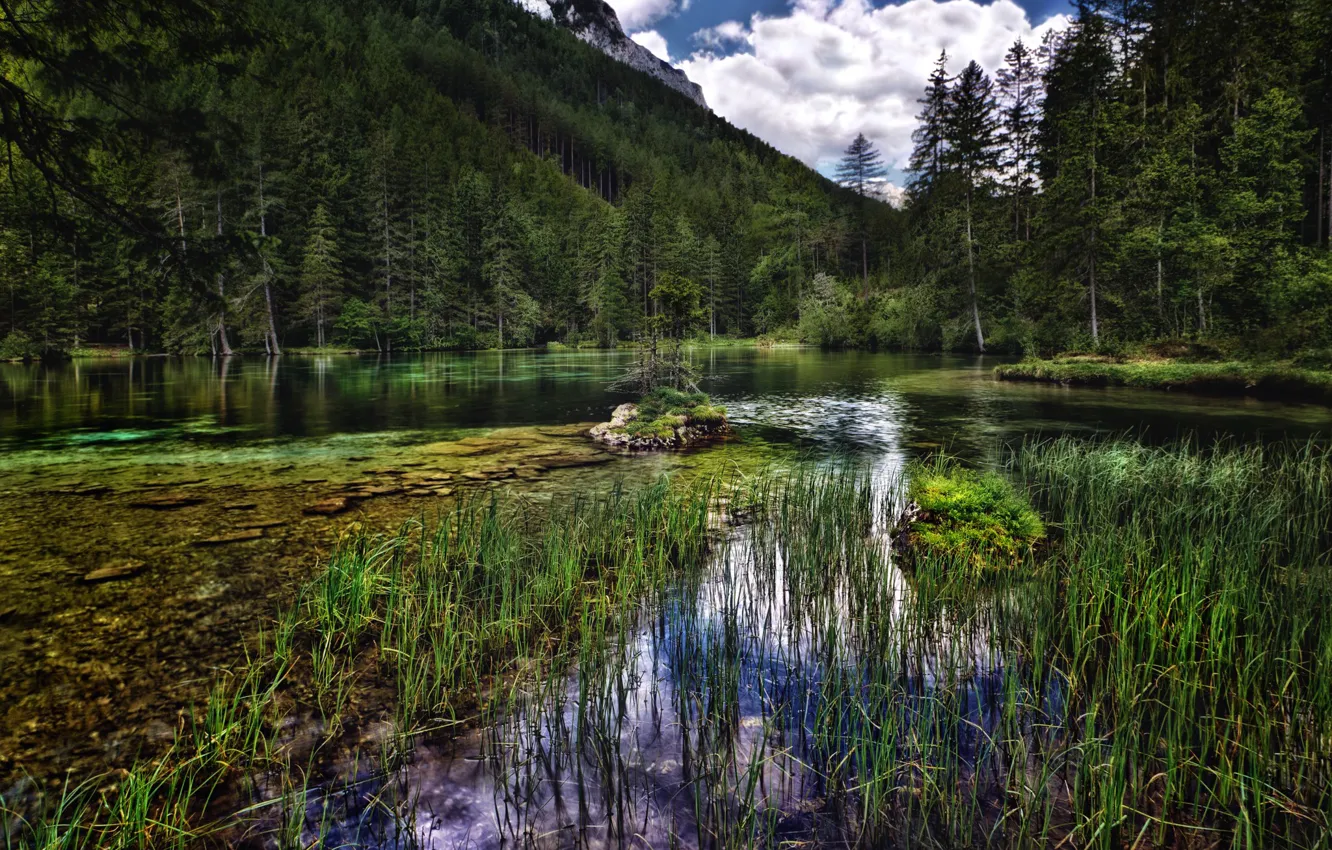 Photo wallpaper forest, water, trees, mountains, Austria, reed, Green Lake, Green lake