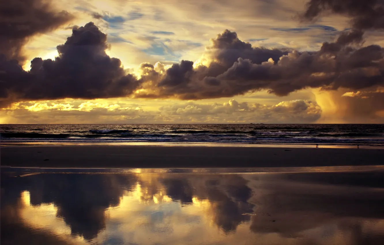 Photo wallpaper sea, beach, the sky, clouds, seagulls
