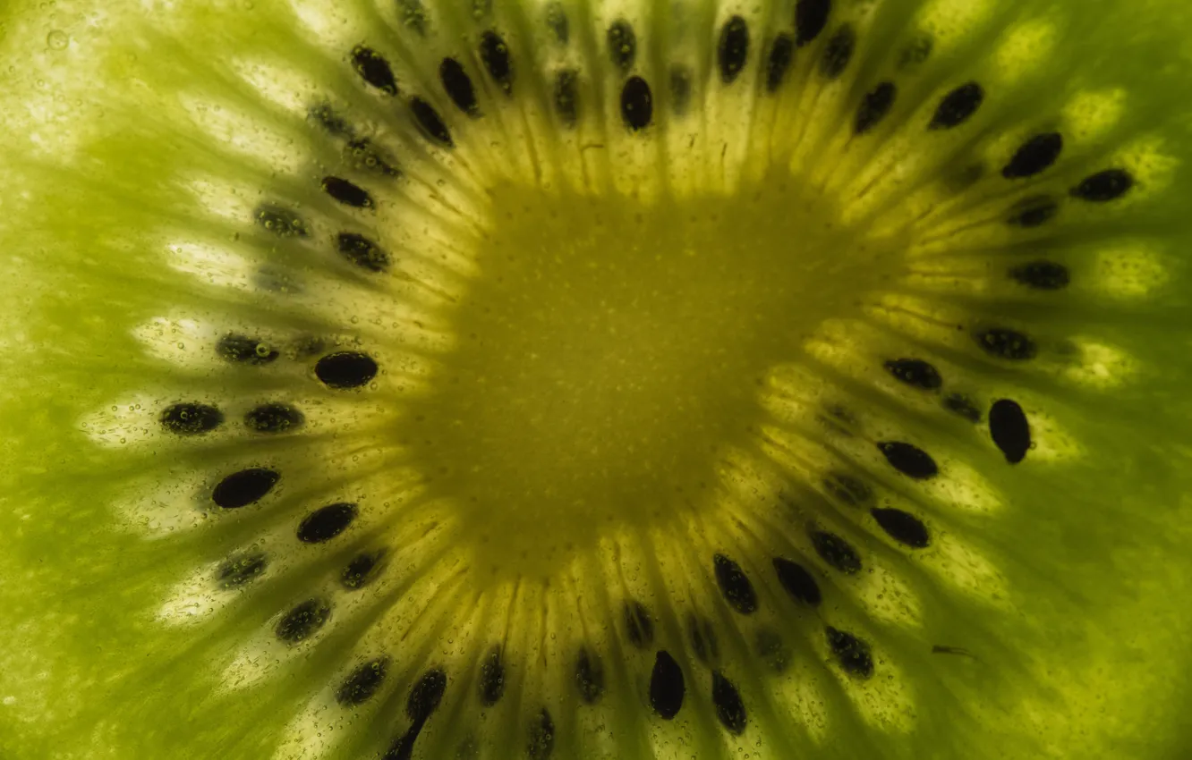 Photo wallpaper macro, kiwi, fruit