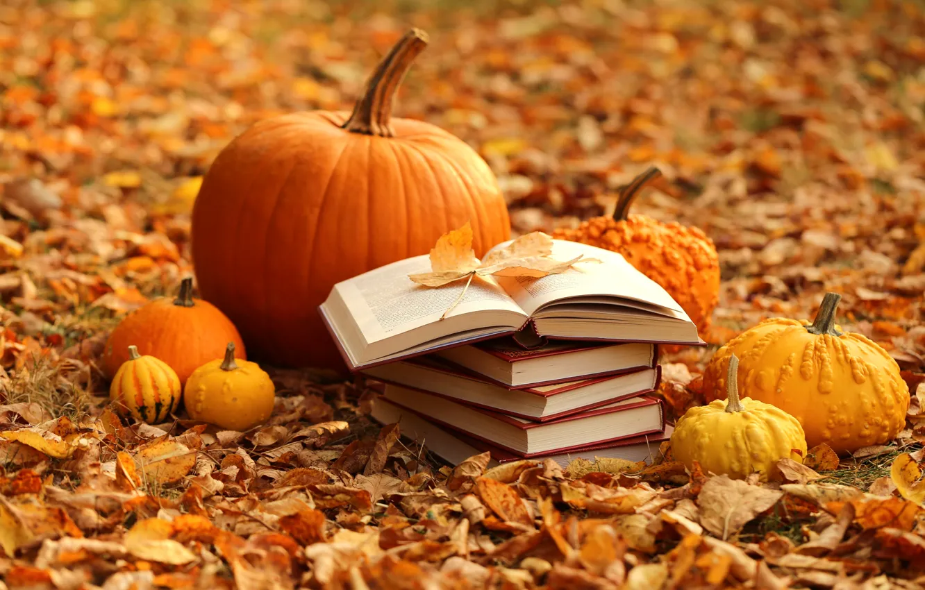Photo wallpaper autumn, leaves, books, harvest, pumpkin, yellow, autumn, leaves
