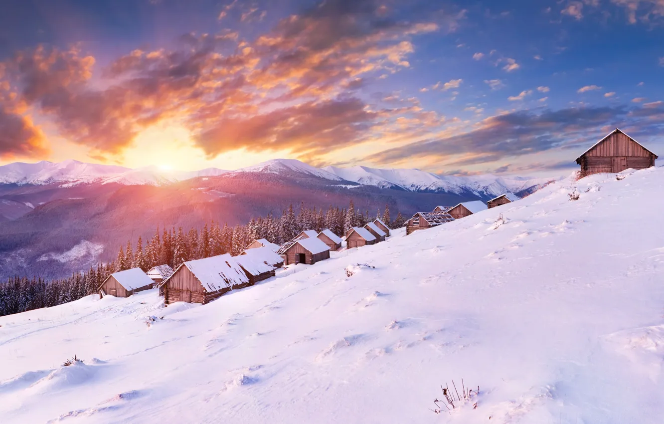 Photo wallpaper cold, winter, forest, the sun, clouds, snow, landscape, mountains