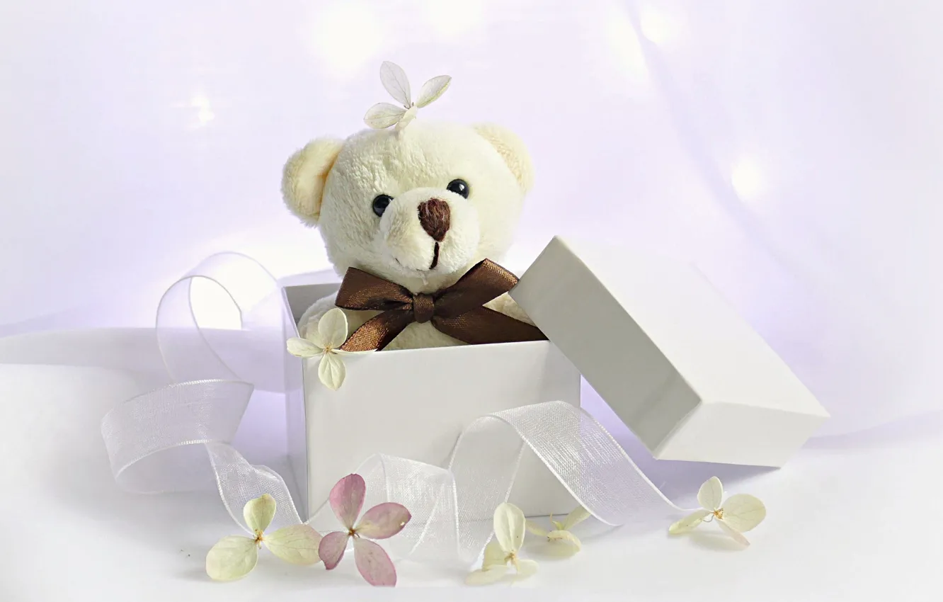 Photo wallpaper background, box, gift, toy, tape, bear, flowers, Teddy bear