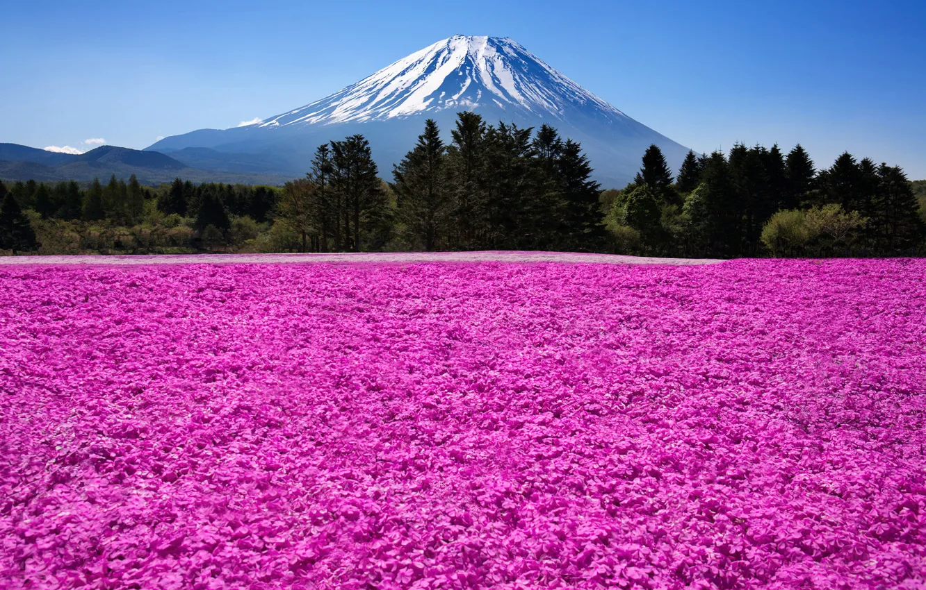 Photo wallpaper mountains, nature, the volcano, Japan, Japan, Fuji