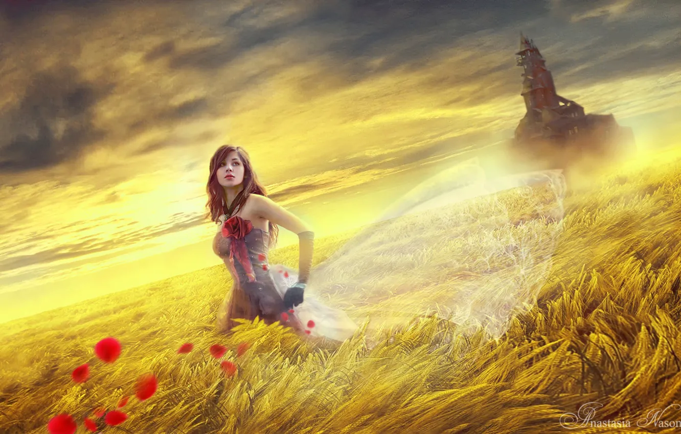 Photo wallpaper field, girl, castle, fantasy, art, Anastasia Nasonova