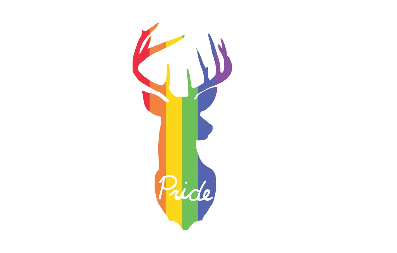 Photo wallpaper art, pride, Minimalism