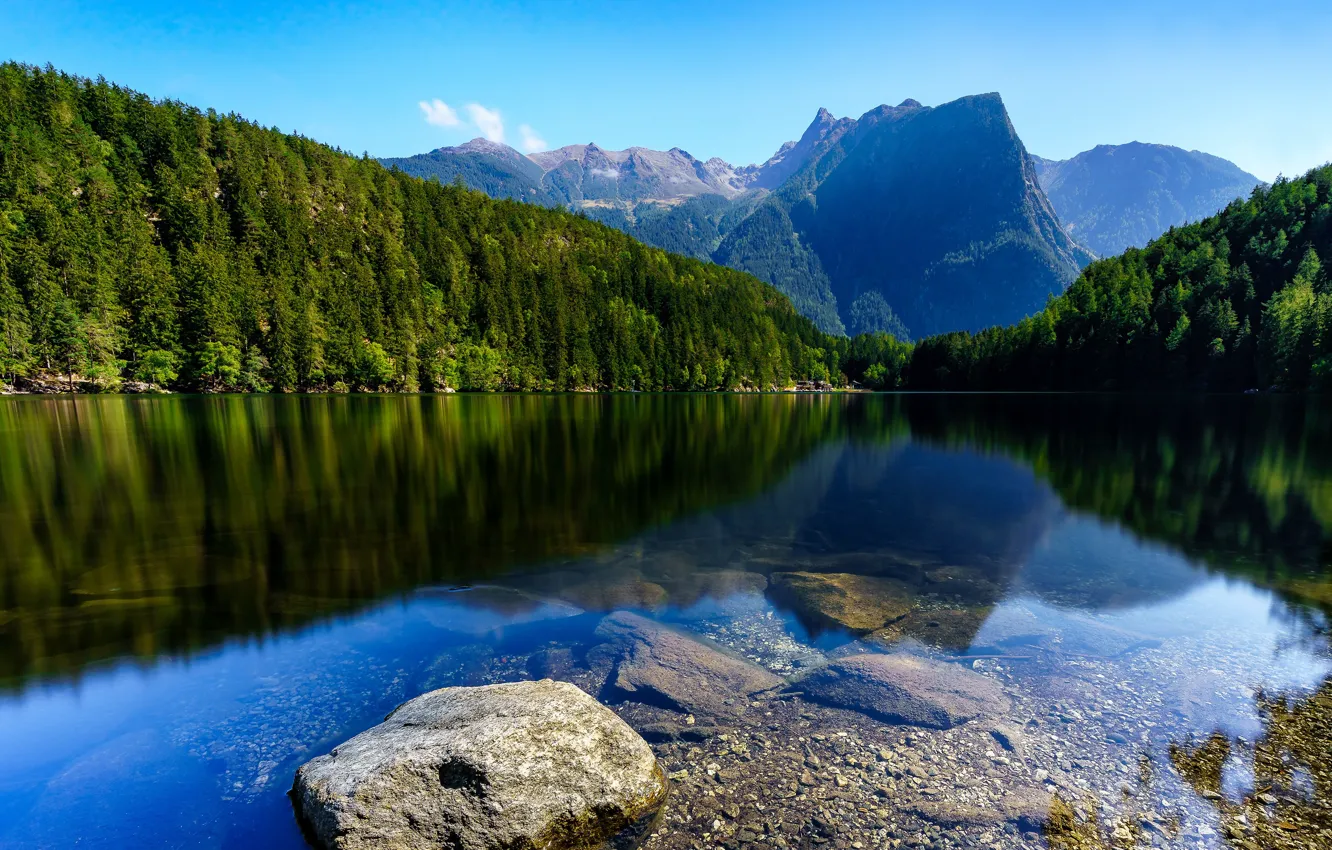 Photo wallpaper forest, the sky, the sun, trees, mountains, lake, stones, rocks