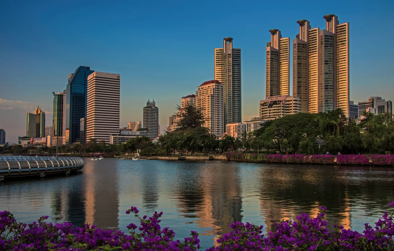 Photo wallpaper trees, sunset, flowers, pond, Park, home, skyscrapers, the evening