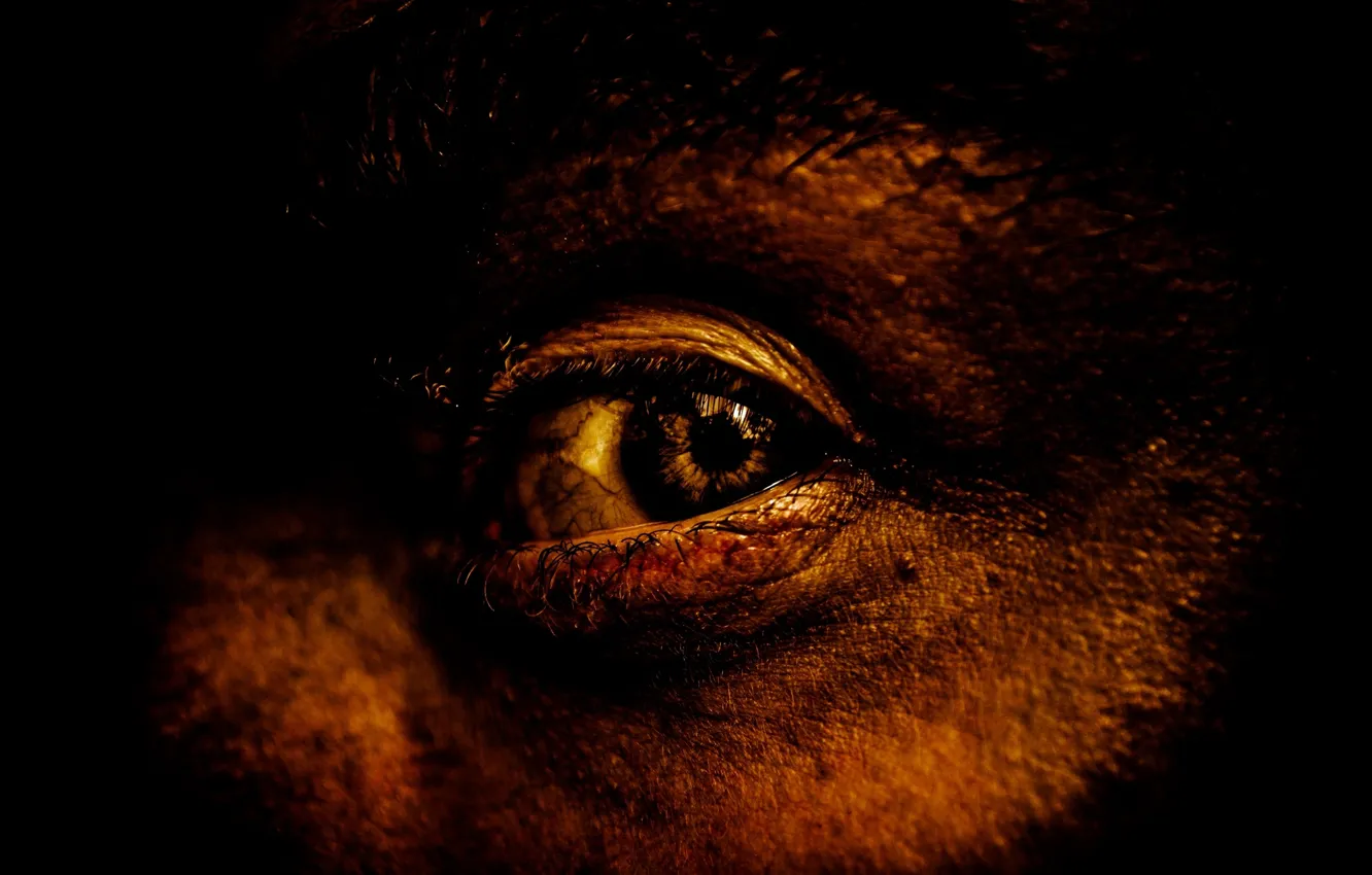 Photo wallpaper eyes, face, background, black, the pupil