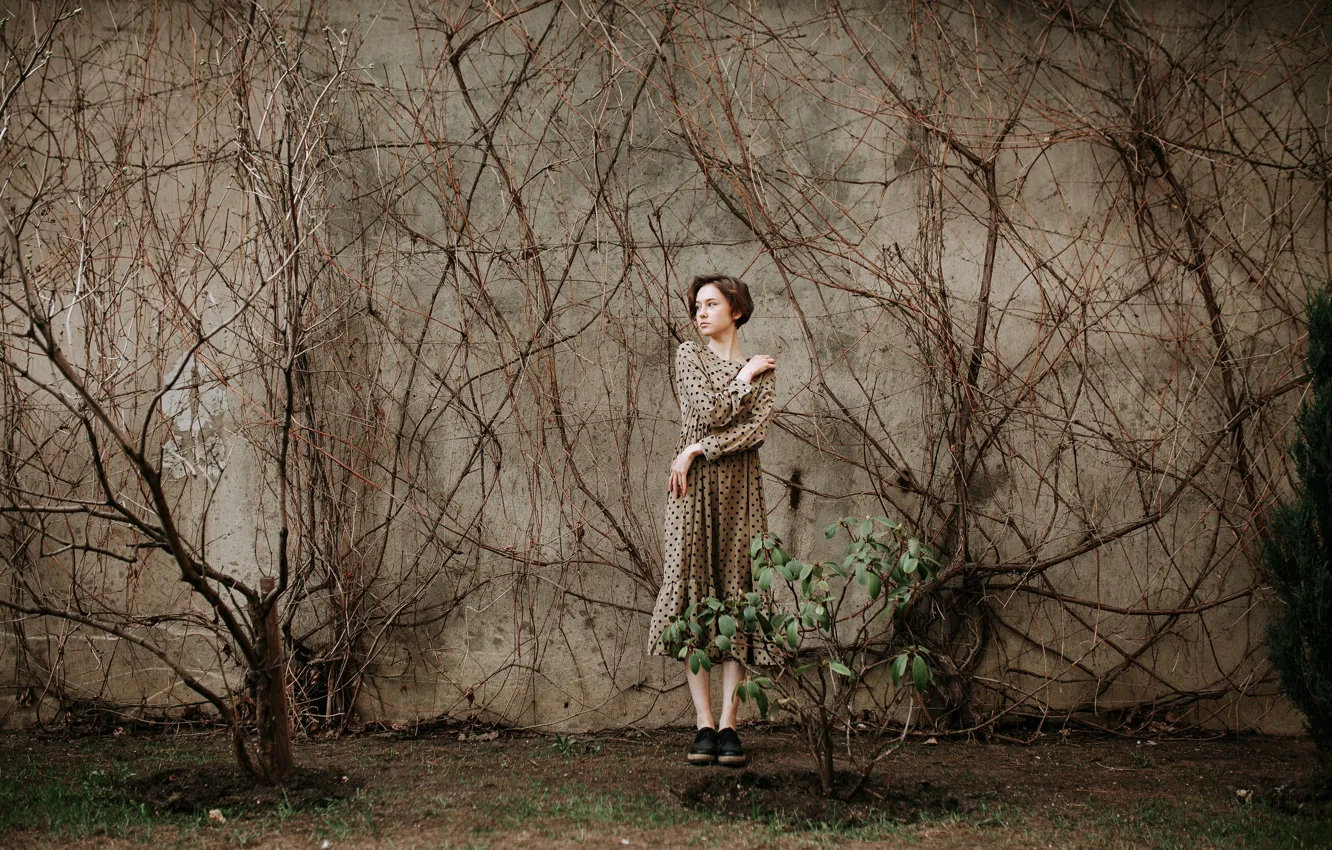 Photo wallpaper girl, wall, dress, Olga Malikova