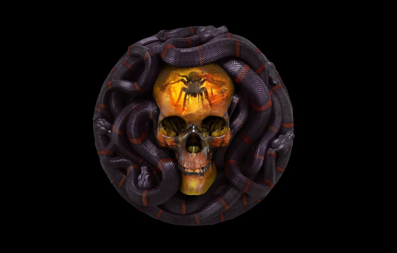 Photo wallpaper skull, snake, Grigory Lebidko, 12 Sins: Envy
