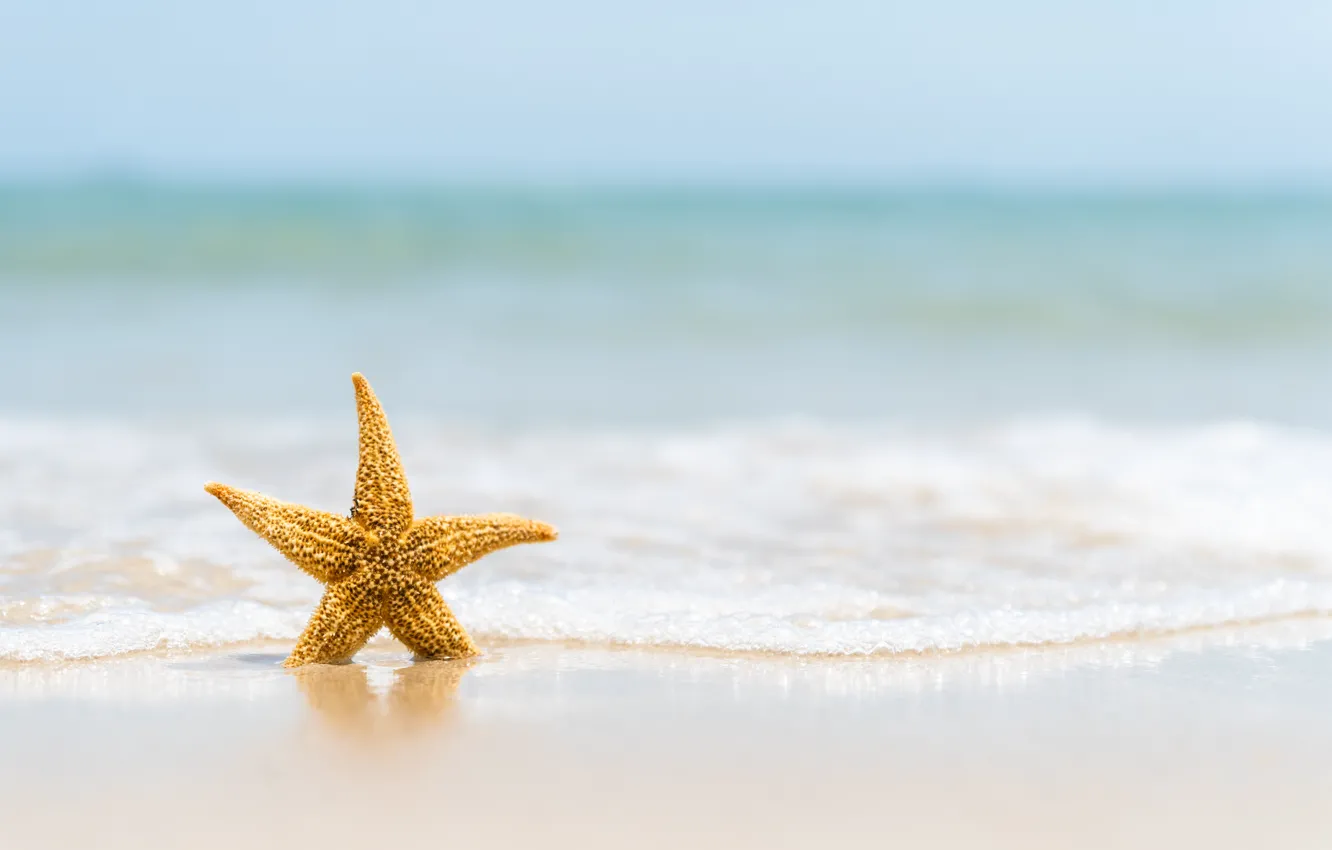 Photo wallpaper sand, sea, wave, beach, summer, stars, shore, summer