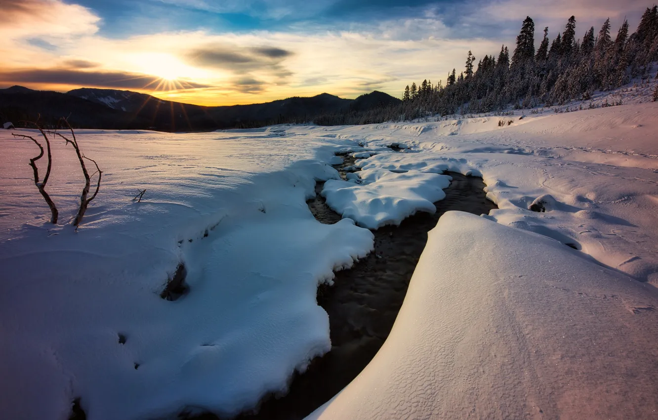 Photo wallpaper winter, frost, forest, the sun, clouds, snow, sunset, mountains
