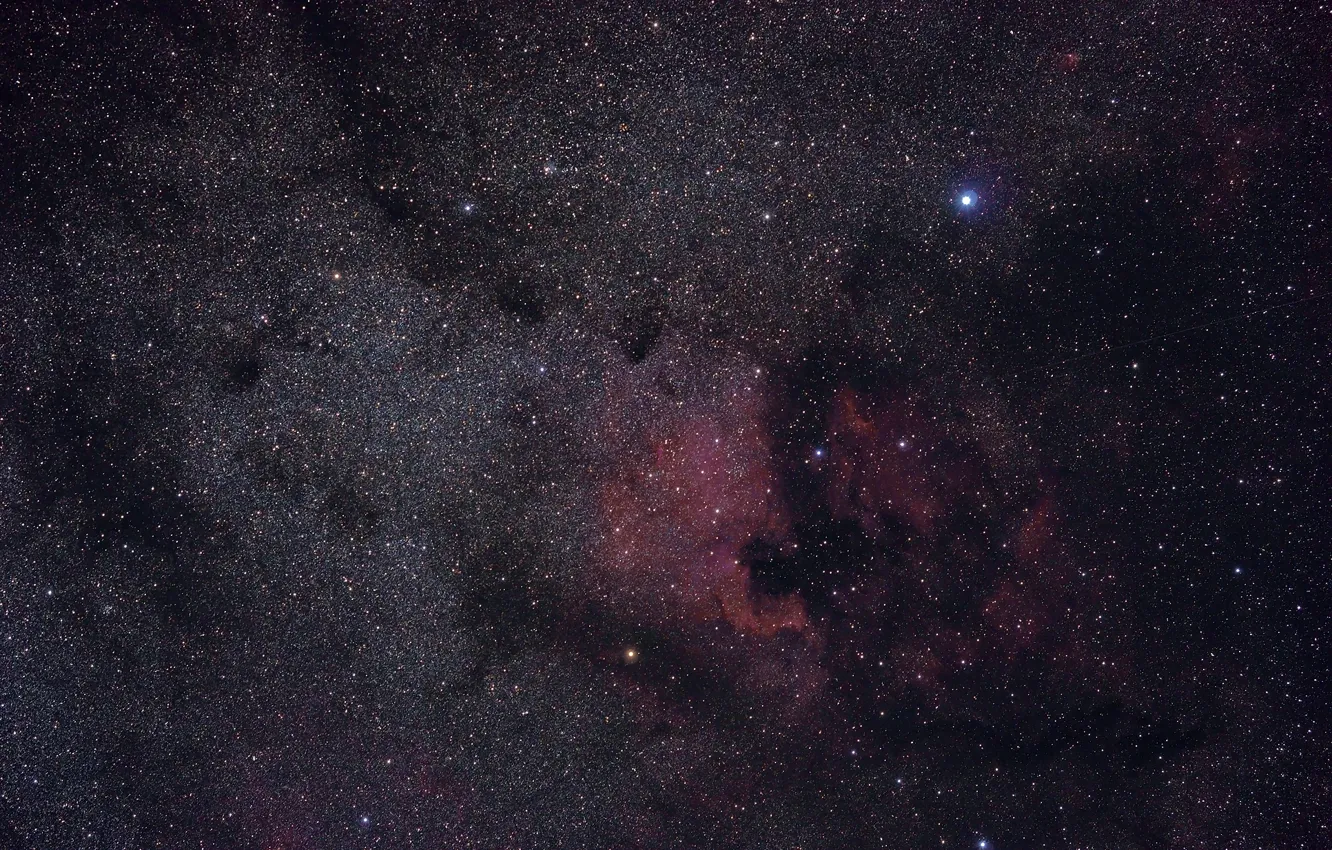 Photo wallpaper space, stars, The Pelican Nebula, North America