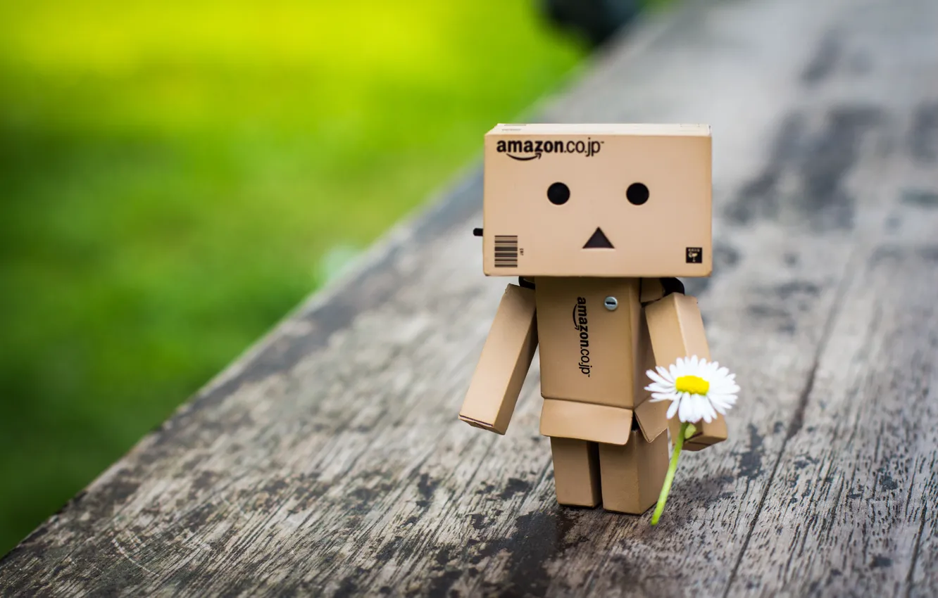Photo wallpaper box, danbo, amazon