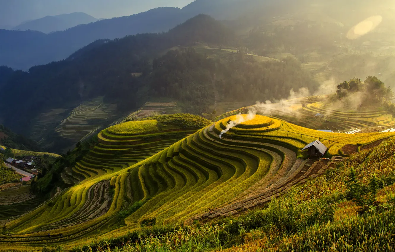 Photo wallpaper greens, grass, mountains, smoke, field, house, forest, plantation