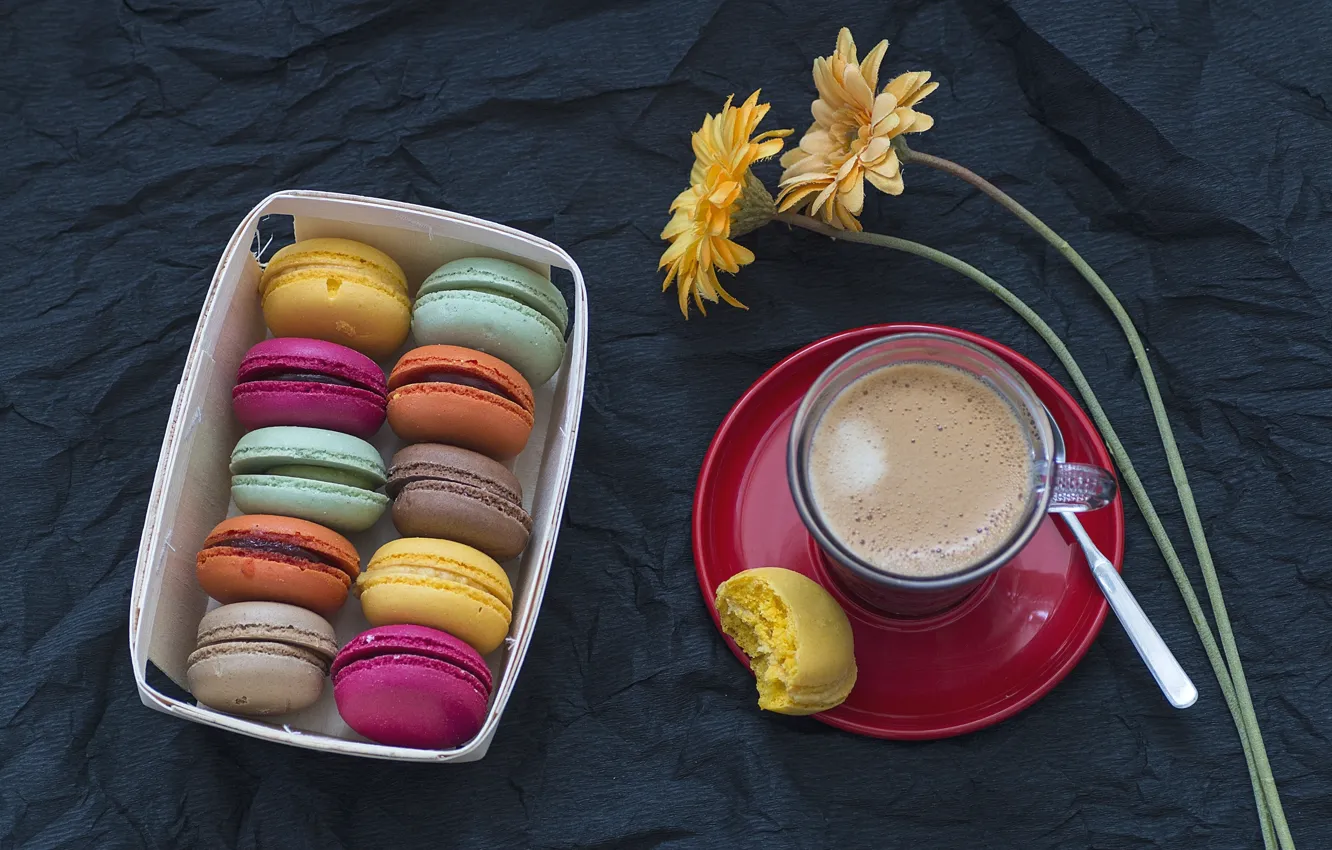 Photo wallpaper coffee, Cup, gerbera, macaroon