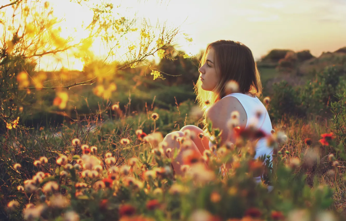 Photo wallpaper summer, girl, the sun, nature