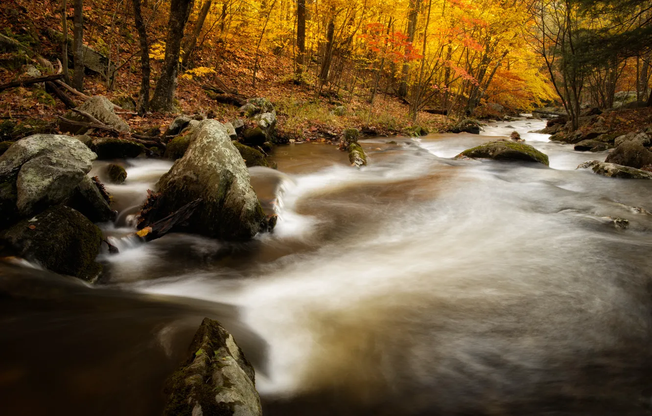 Photo wallpaper autumn, forest, river, stones, Kent, Macedonia Brook State Park, Connecticut