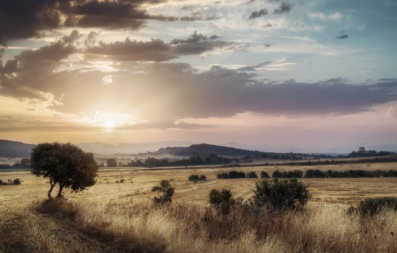 Photo wallpaper field, landscape, nature