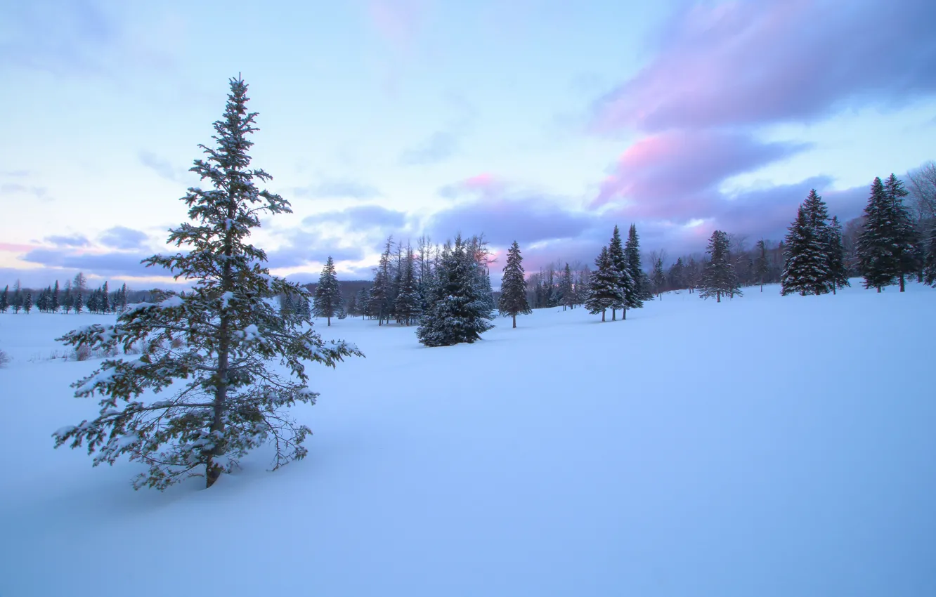 Photo wallpaper winter, snow, trees, ate, Canada, Canada, Quebec, QC