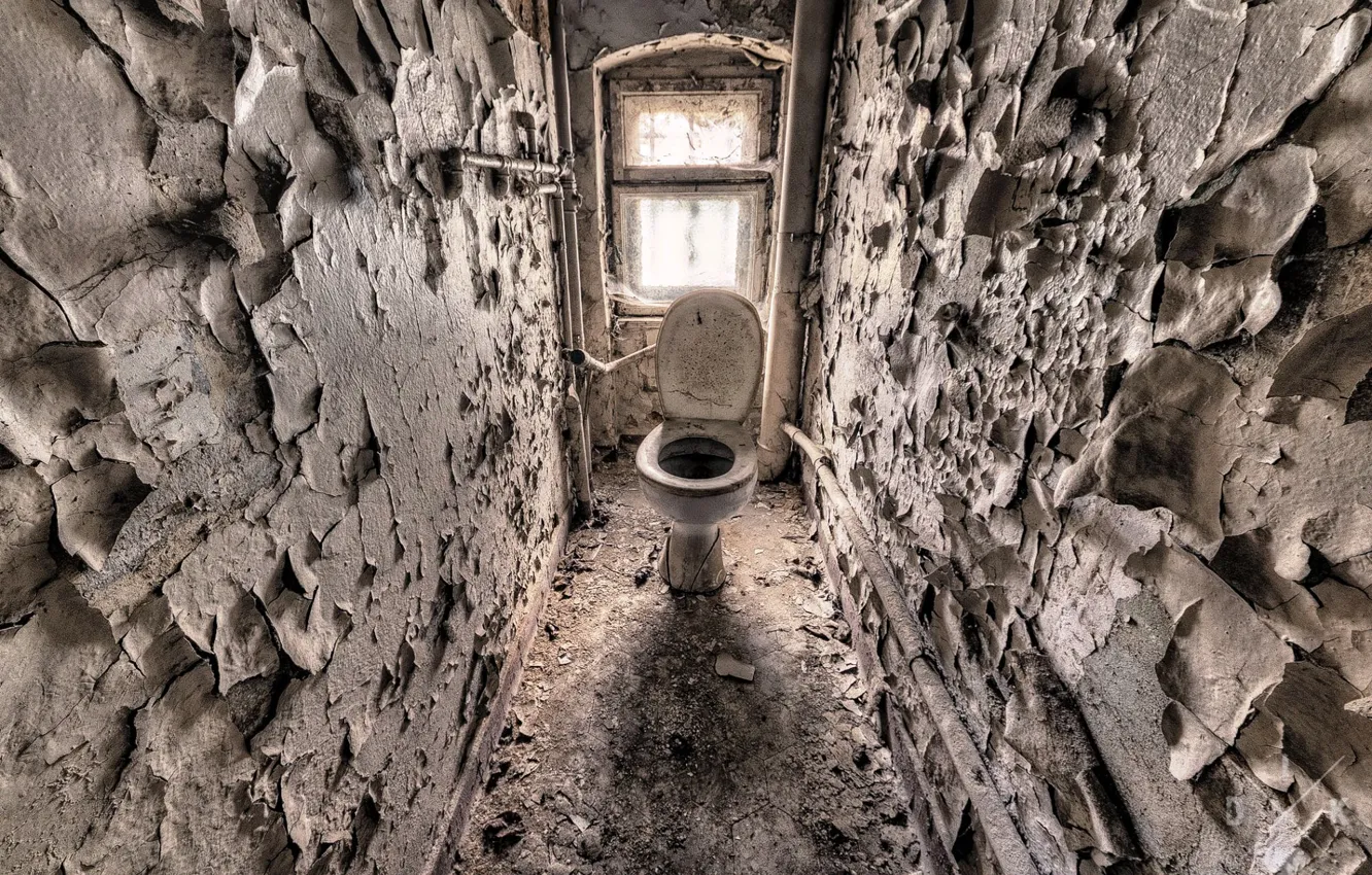 Photo wallpaper background, interior, toilet