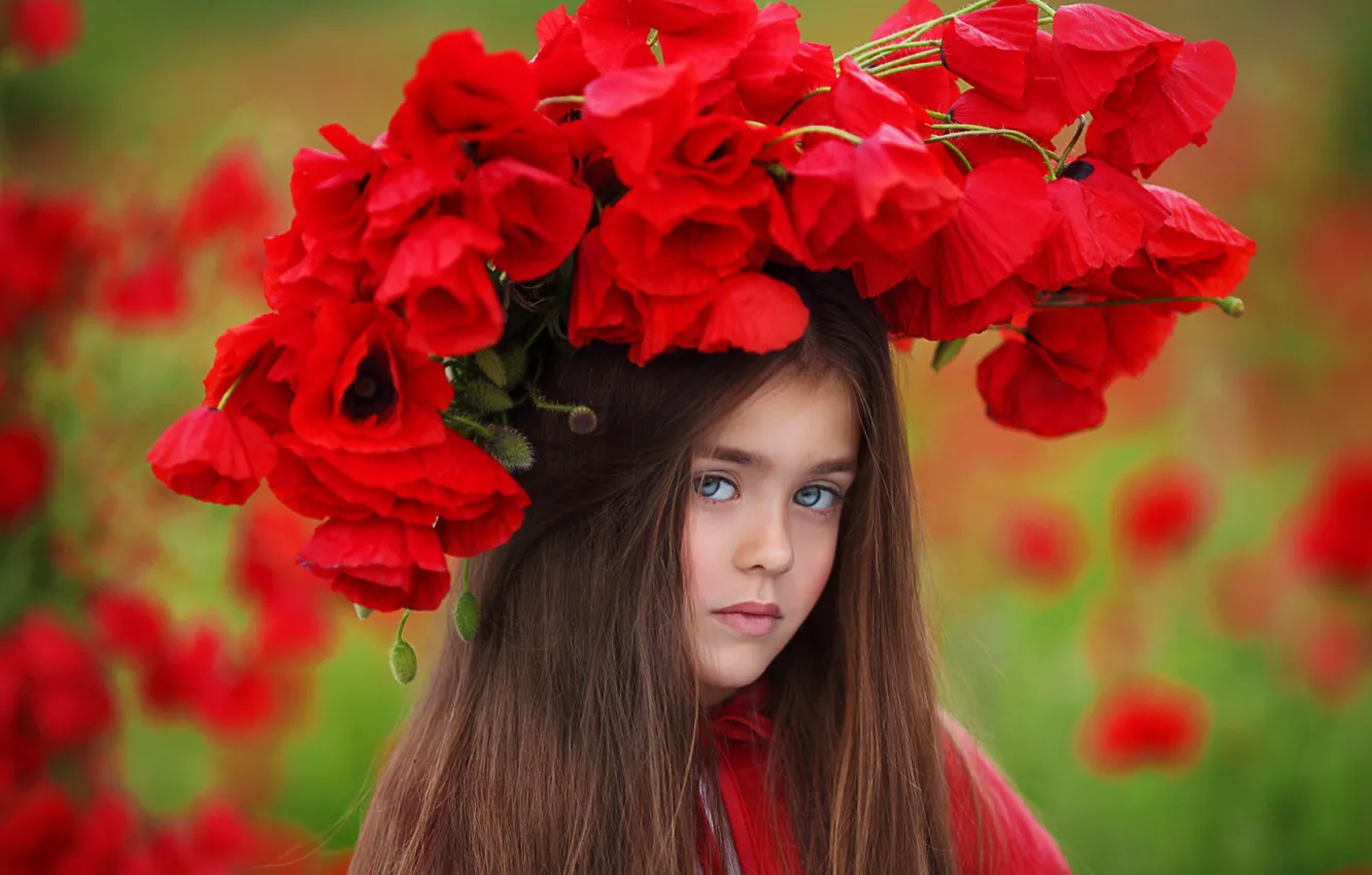 Photo wallpaper flowers, nature, Maki, girl, wreath