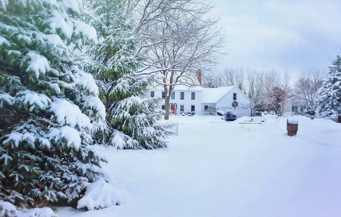 Photo wallpaper winter, auto, snow, trees, tree, home, frost