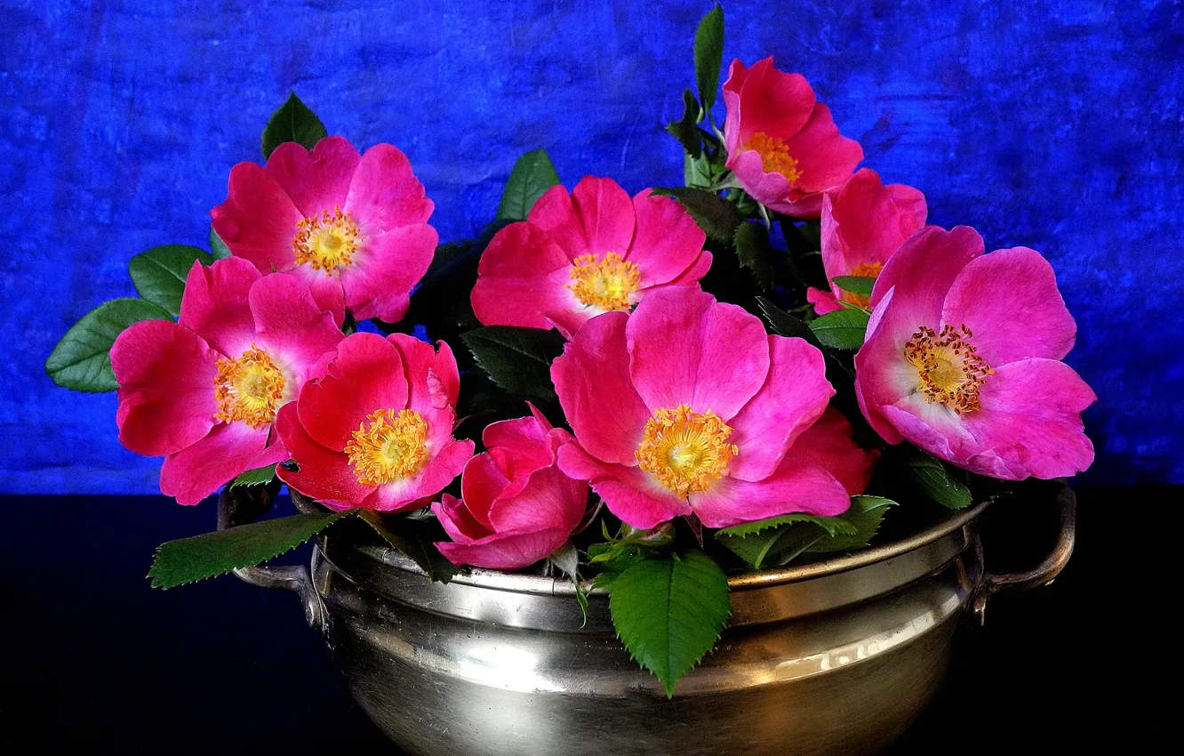 Photo wallpaper background, Wallpaper, petals, stamens, vase