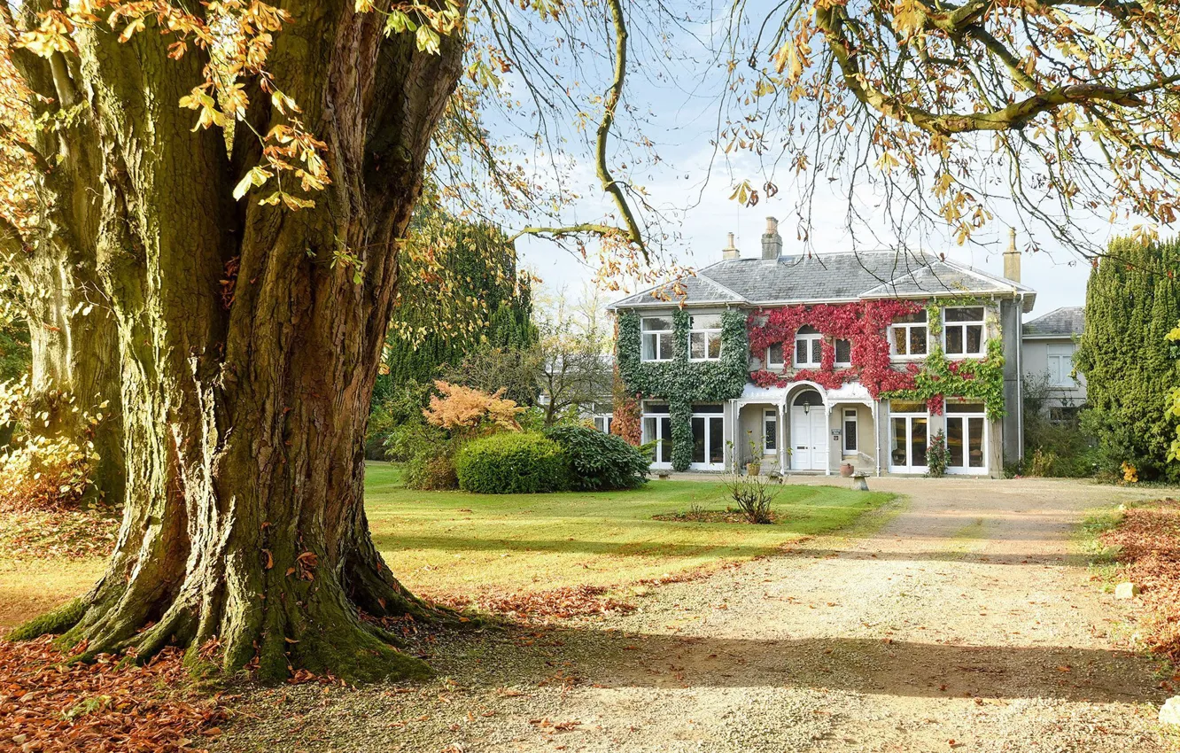 Photo wallpaper autumn, England, home, garden, Windsor, Holdcroft House Savills