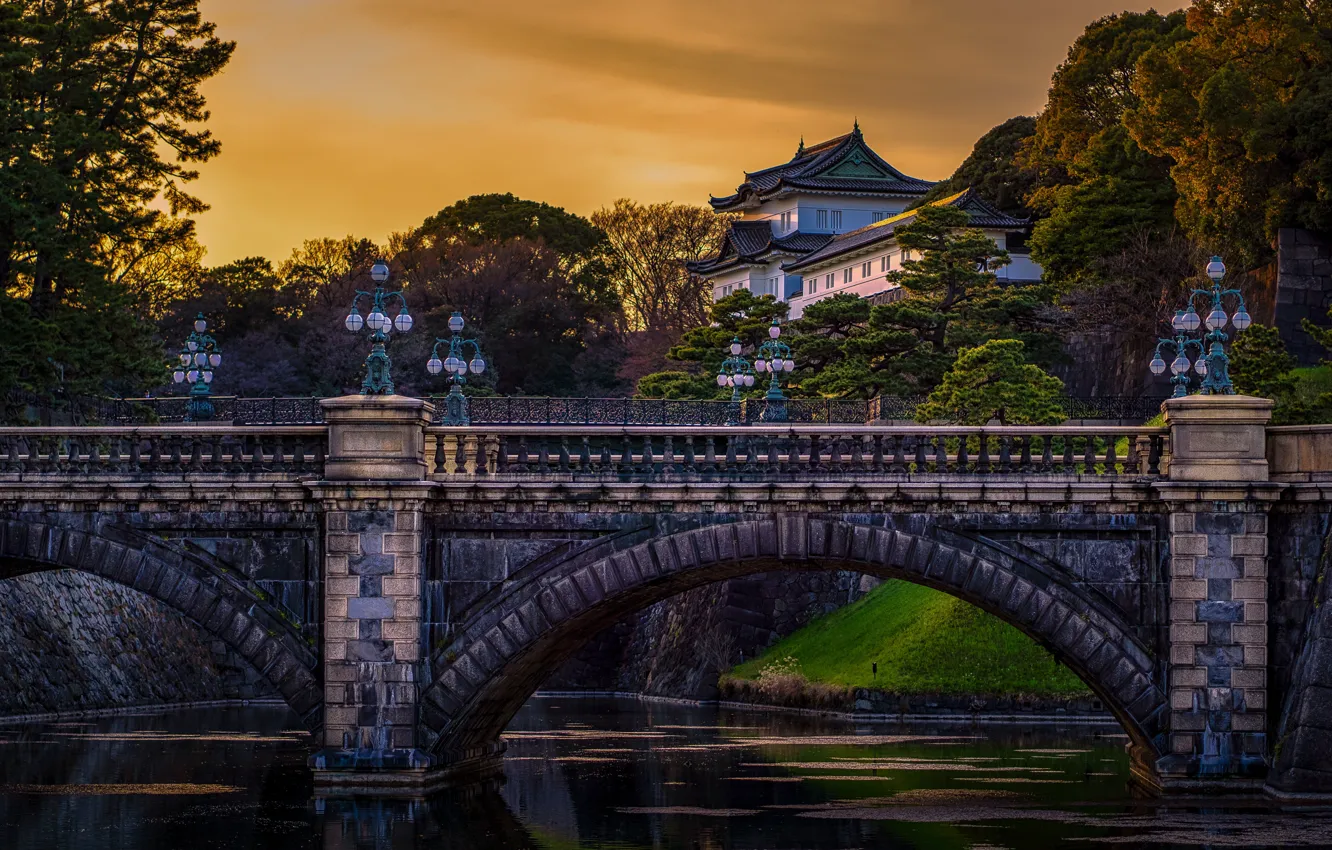 Photo wallpaper trees, landscape, bridge, river, the building, the evening, Japan, Tokyo